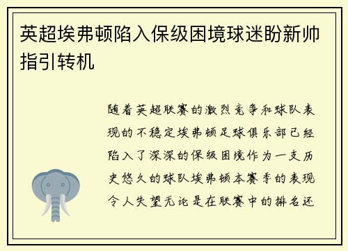 英超埃弗顿陷入保级困境球迷盼新帅指引转机